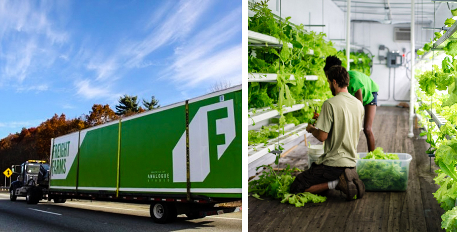 innovative container agriculture