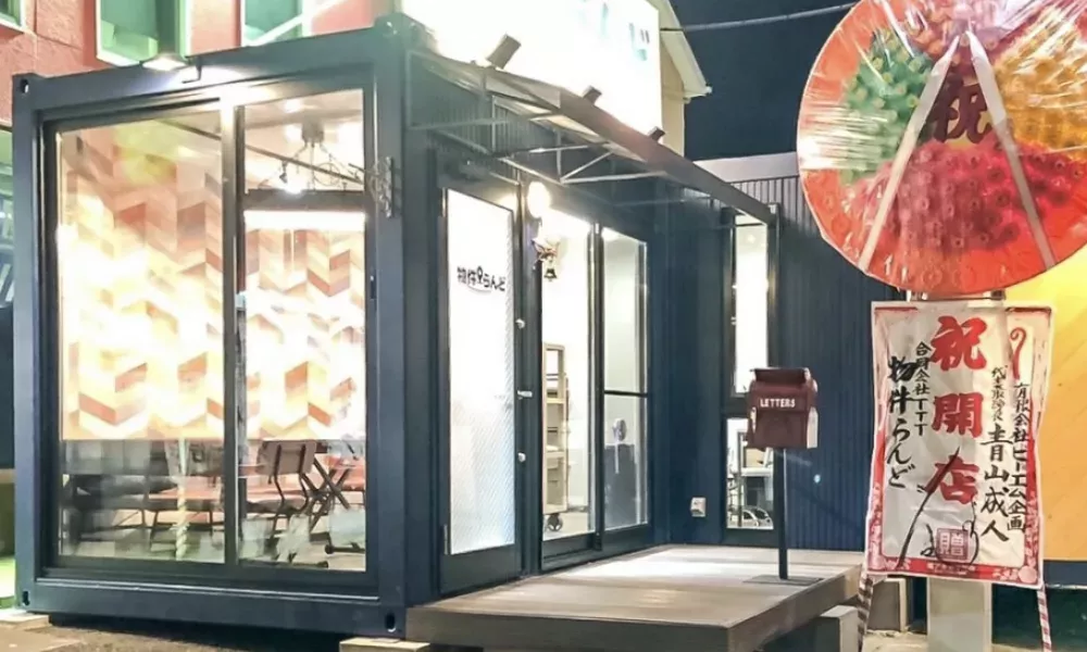 Caja de casa contenedora en paquete plano